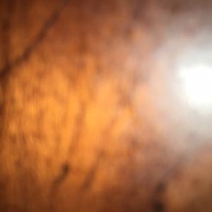 Meet your Posher, Jane